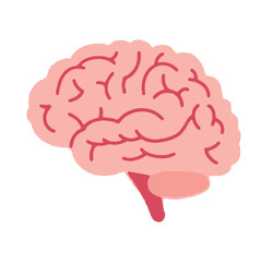 Brain illustration for design 