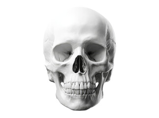 Obraz premium Human skull anatomy model isolated on black background, Isolated On Transparent Background