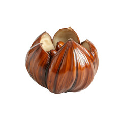 Open Brazil Nut Shell Revealing Seeds, Close-up Studio Shot