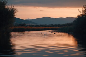 Serene sunset over calm river, silhouetted mountains in the background, several birds floating on the still water