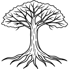 Realistic line drawing of elm tree trunk and root base