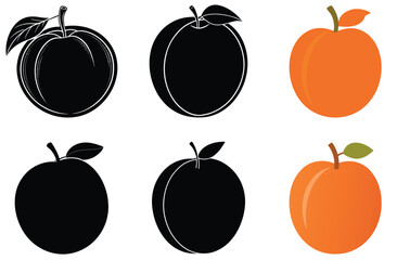 Apricot Fruit Illustrations Vector Icons Set