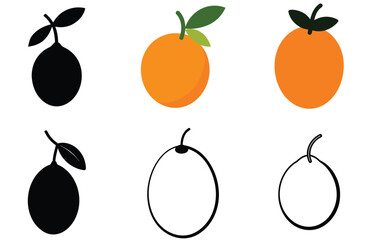Orange Fruit Icons Vector Illustrations Set