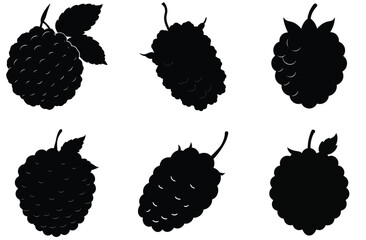 Blackberry Silhouettes A Collection of Vector Illustrations