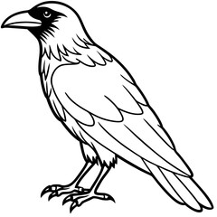 Raven Ink line art vector