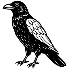Raven Ink line art vector