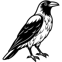 Raven Ink line art vector