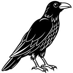 Raven Ink line art vector