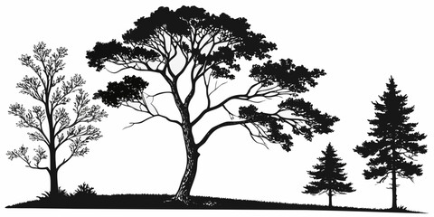 silhouette of a tree