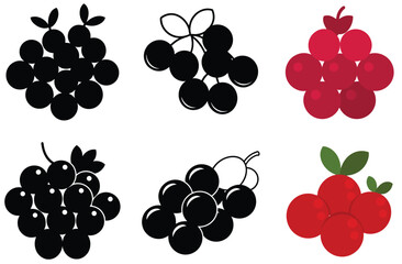 Collection of Black and Red Berry Illustrations