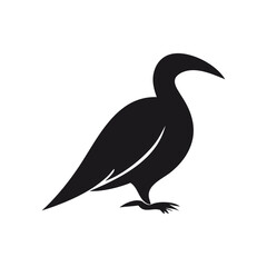 vector illustration of a bird on white background