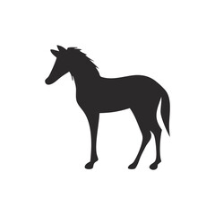 horse vector illustration
