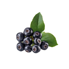 Fresh Ripe Black Chokeberries with Green Leaves Isolated on Black Background