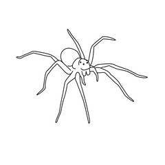one line spider