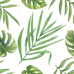 Tropical leaves watercolor seamless pattern isolated background. Monstera, philodendron, areca palm foliage illustration for wallpaper, textile design, beach packaging, poster, summer decor