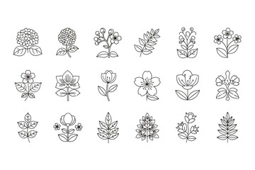 Floral Line Art Collection Simple Flower Outlines