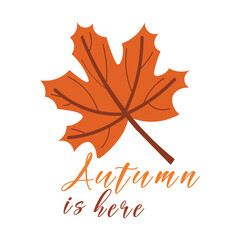Cozy Autumn Vector Illustration with Maple Leaves