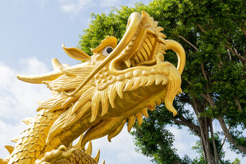 A radiant golden dragon head sculpture, embodying strength, prosperity, and mythical power in East...