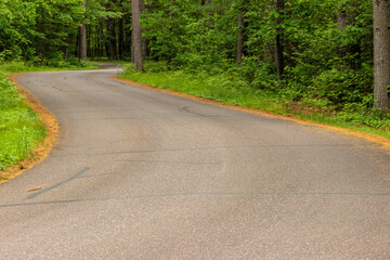 Obraz premium The park road winds through the shadows of the northwoods area of the Crystal - Muskellunge State Park near Sayner, Wisconsin in early June