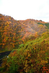 早出川渓谷の紅葉（新潟県）