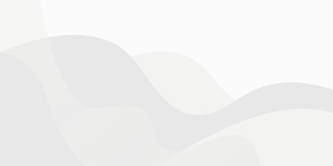 White abstract elegant modern Background. Wave gradient design style. Space concept. landing page.