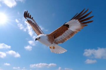Obraz premium Majestic Brahminy Kite Soaring Through Blue Sky, Symbolizing Freedom and Environmental Awareness, Perfect for Nature Conservation Campaigns : Generative AI
