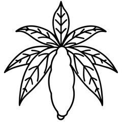 Cassava line art vector