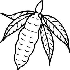 Cassava line art vector