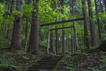 長野 戸隠神社宝光社 森の中の三祠