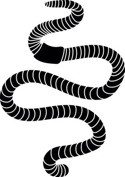black worm winding on white background clip art preview