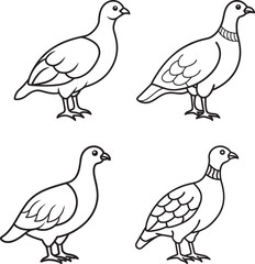  Ptarmigan outline icon vector file  