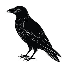 Obraz premium crow on a branch