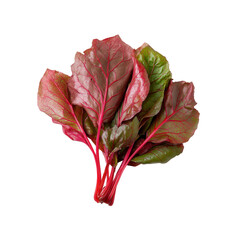 Vibrant Red Chard Bunch - Freshly Harvested Leafy Greens