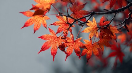 A branch of red leaves is hanging from a tree