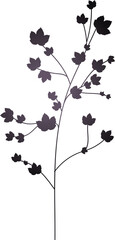 Botanical silhouette is showing slender branch with lobed leaves in vector, transparent background