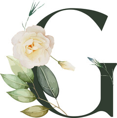 Letter G is featuring watercolor rose bloom, rosebud and botanical sprigs on transparent background