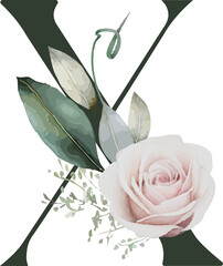 Displaying vector illustration of soft pink rose with green eucalyptus sprigs on transparent canvas