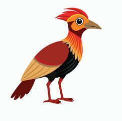 pheasant isolated on white background