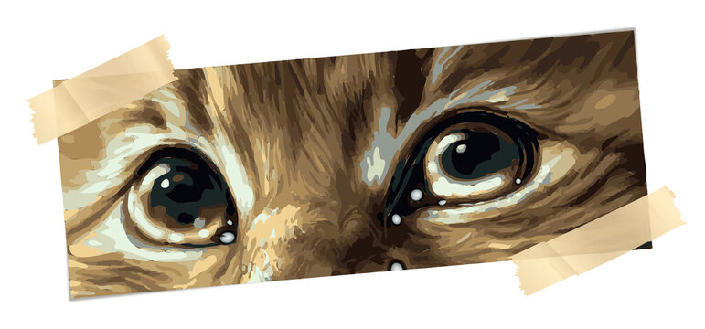 Fototapeta Stylized brushstroke cat eyes strip is appearing on transparent background with beige masking tape