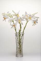 Bouquet of white fragrant lilies in a crystal vase isolated on a light background.  Graphic resources. Close-up. Place for design.