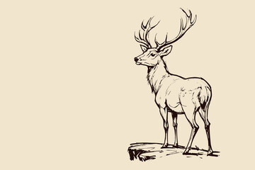 Deer with antlers standing sketch vector illustration

