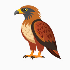 eagle on a white background