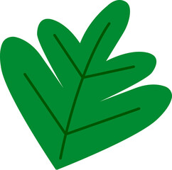 Flat design green oak leaf illustration is floating on transparent background with bold veins