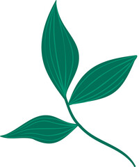 Flat design botanical branch is floating on transparent background, with slender green leaves