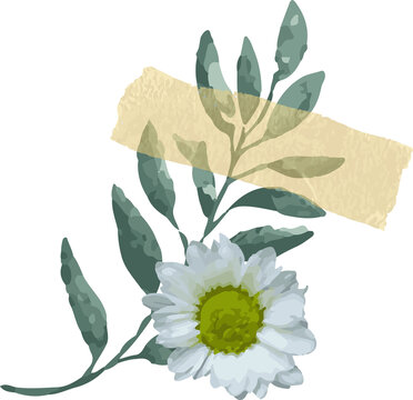 Fototapeta Flat design is featuring white daisy with green leaves and yellow tape on transparent background