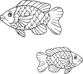 Two stylized fish line drawings are displaying detailed scales and fins on transparent background