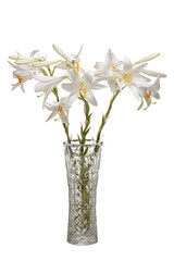 Bouquet of white fragrant lilies in a crystal vase isolated on a transparent background. Graphic...