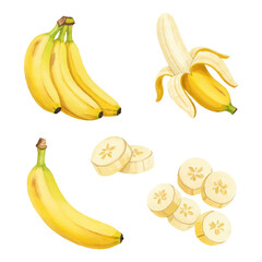 hand painted watercolor set of bananas illustration