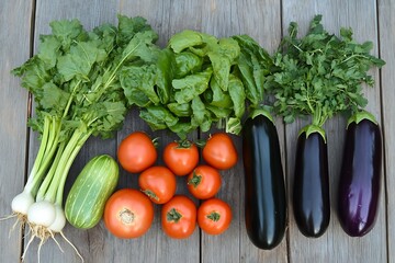 Fresh vegetables harvest from garden tomatoes eggplant zucchini turnip salad greens cilantro