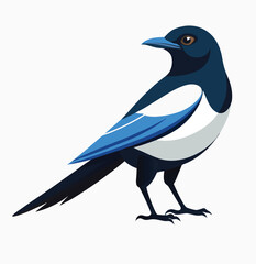magpie